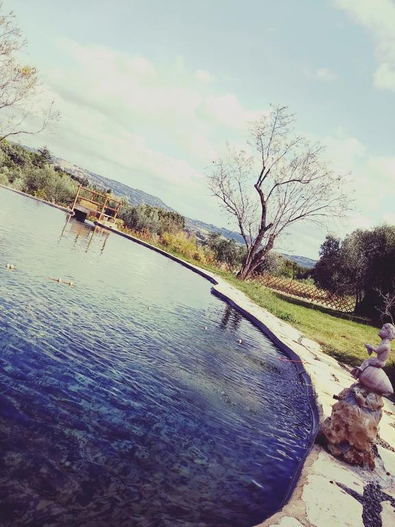 Agriturismo Il Poderino Bibbona Exterior foto