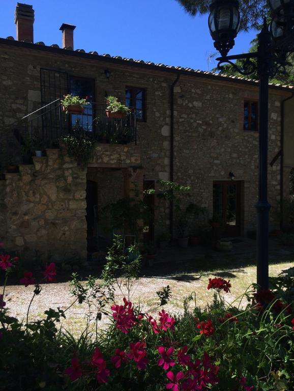 Agriturismo Il Poderino Bibbona Zimmer foto