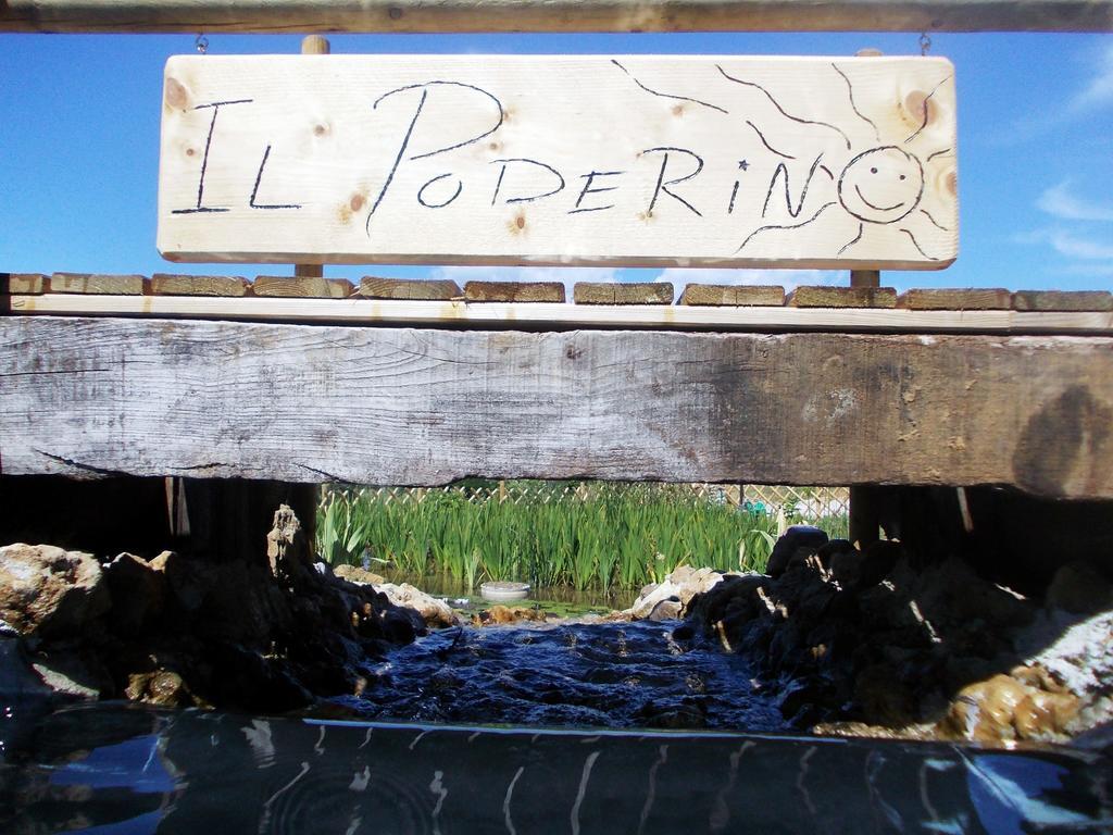 Agriturismo Il Poderino Bibbona Exterior foto