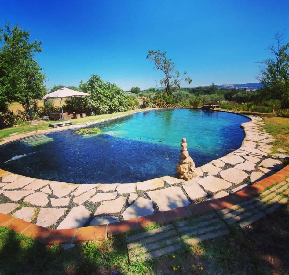 Agriturismo Il Poderino Bibbona Exterior foto