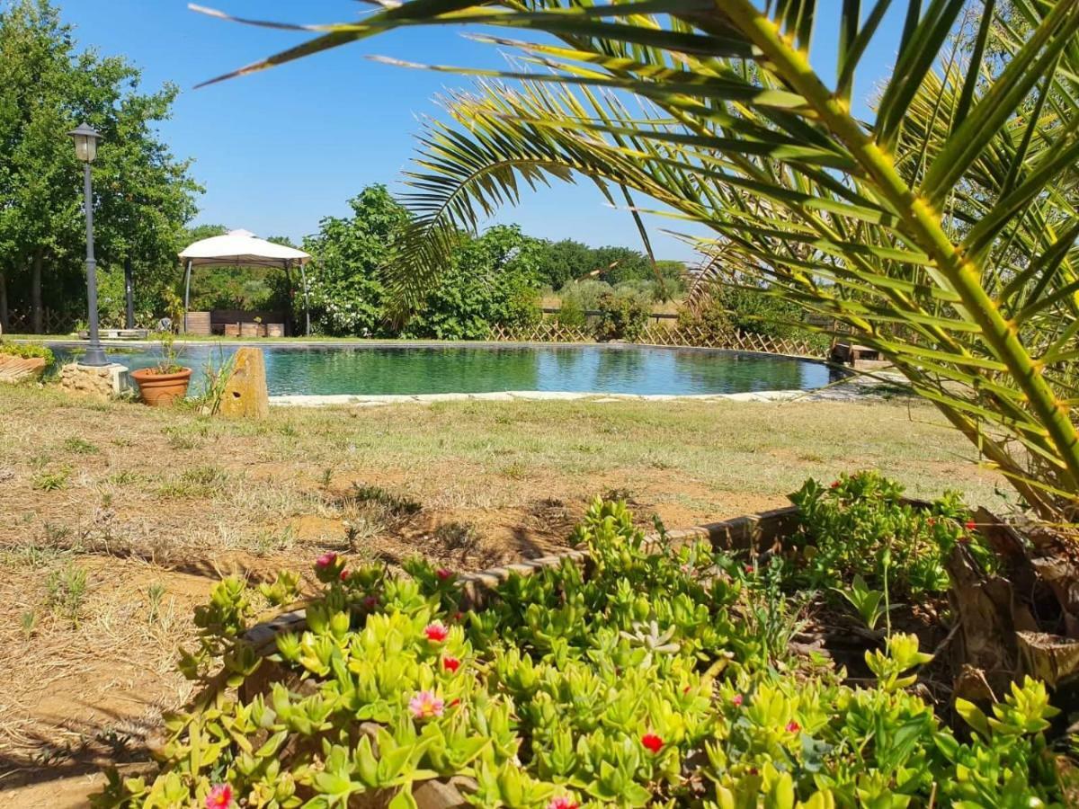 Agriturismo Il Poderino Bibbona Exterior foto